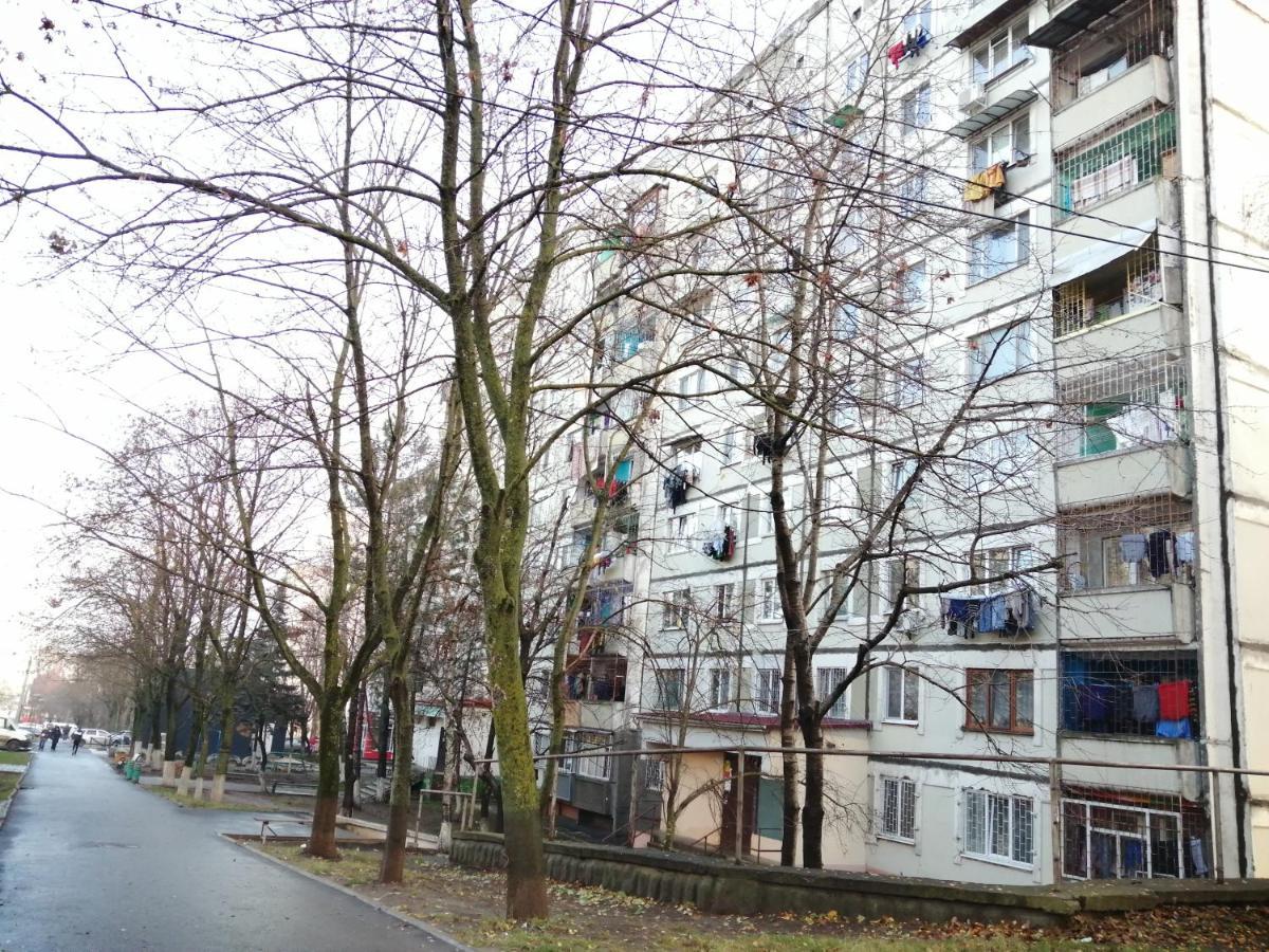 Apartment For Daily Rent Zdn Κισινάου Εξωτερικό φωτογραφία